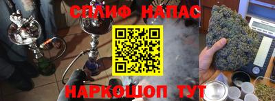 прущие грибы Рязань