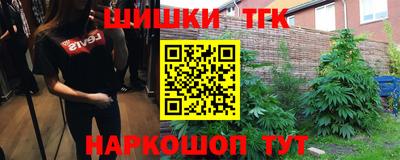 МДПВ Рыбинск
