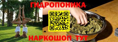 прущие грибы Рязань