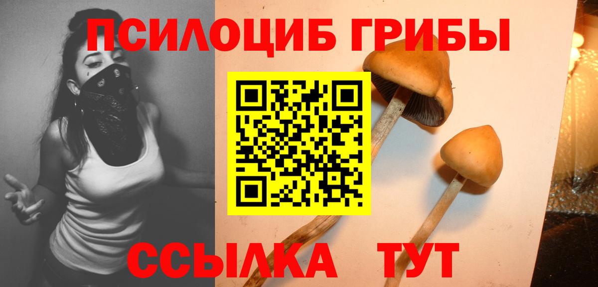 Галлюциногенные грибы MAGIC MUSHROOMS  Псилоцибиновые грибы ЛСД  Ртищево  Вход с VPN 